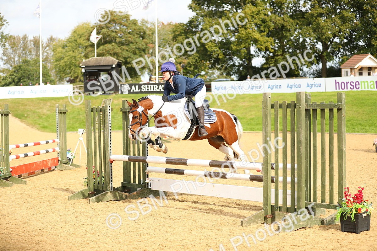 SBM_70180 - J18 - Junior Pony 85cm Championship