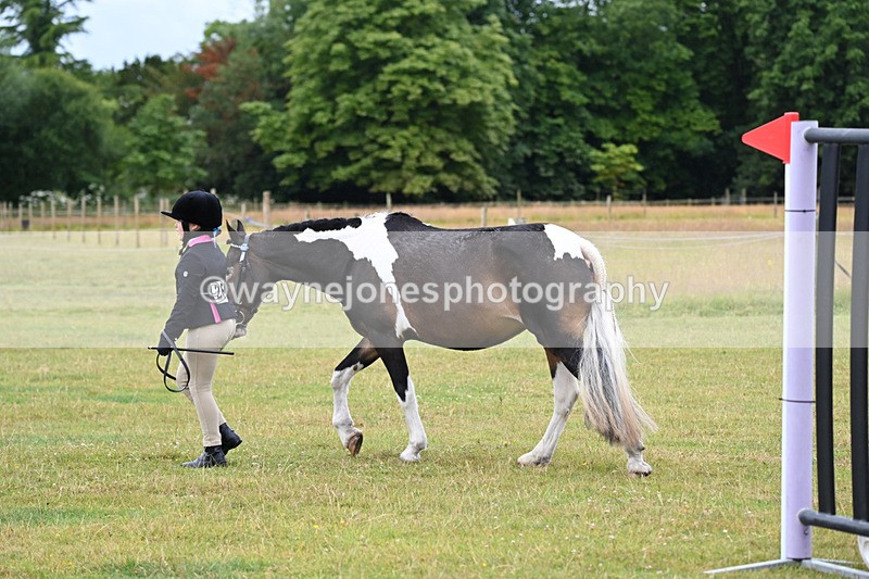 WJ6_8754 - Class 10 Coloured in-hand