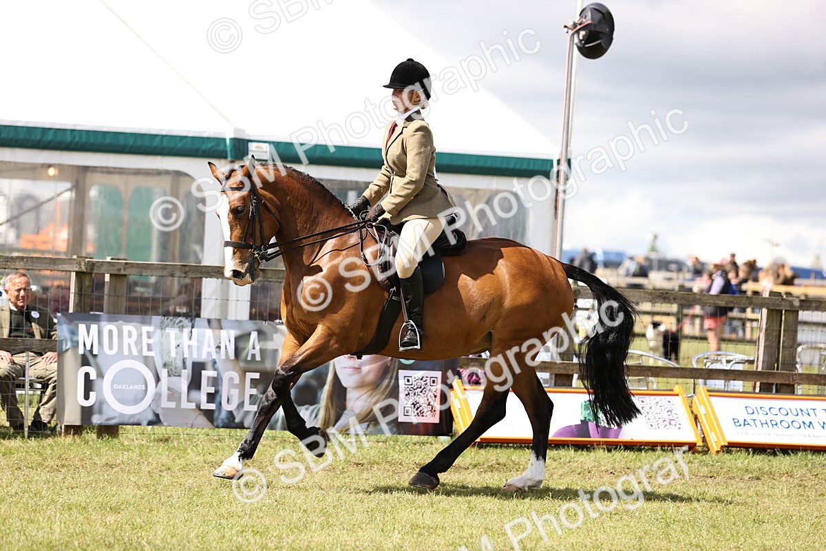 SBM_14538 - Class 88-89 - LIHS BSHA Rising Star of Ridden Hunter Type