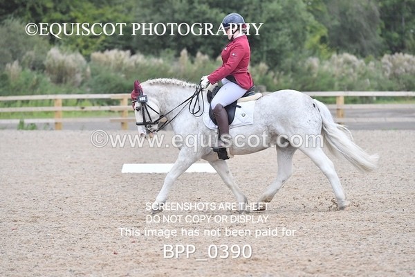 BPP_0390 - ELEM 6 & 4