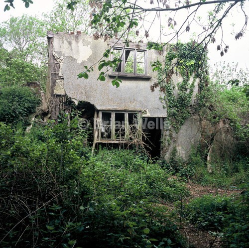 'Past Renovation' - Abode's