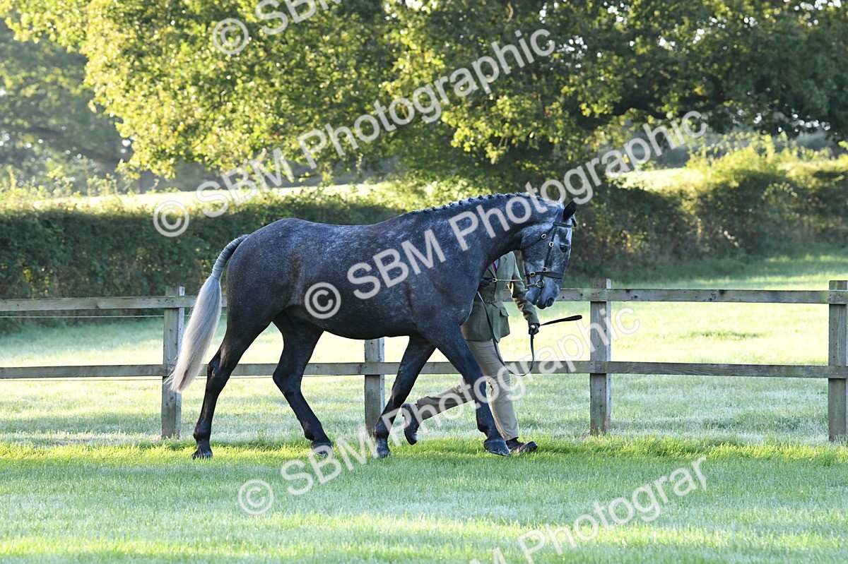 SBM_32491 - S15 - Condition & Turnout In Hand