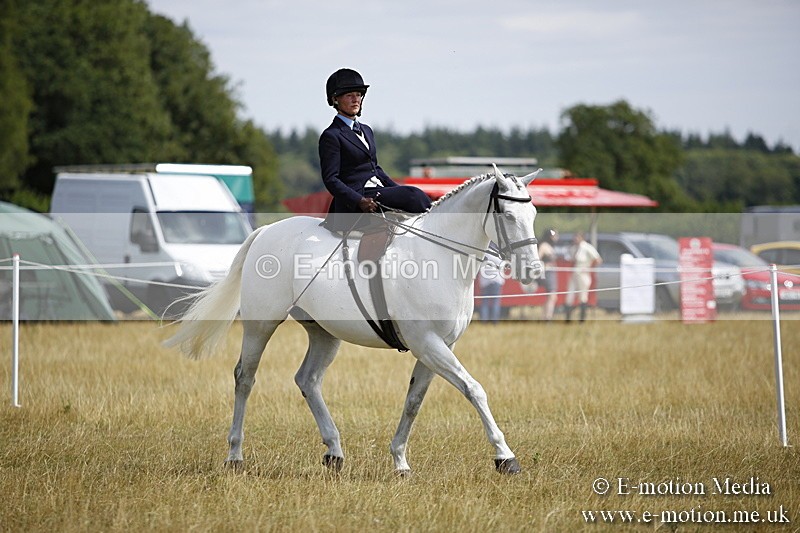 _C7A0300 - Side Saddle Classes BVRC Show 2018