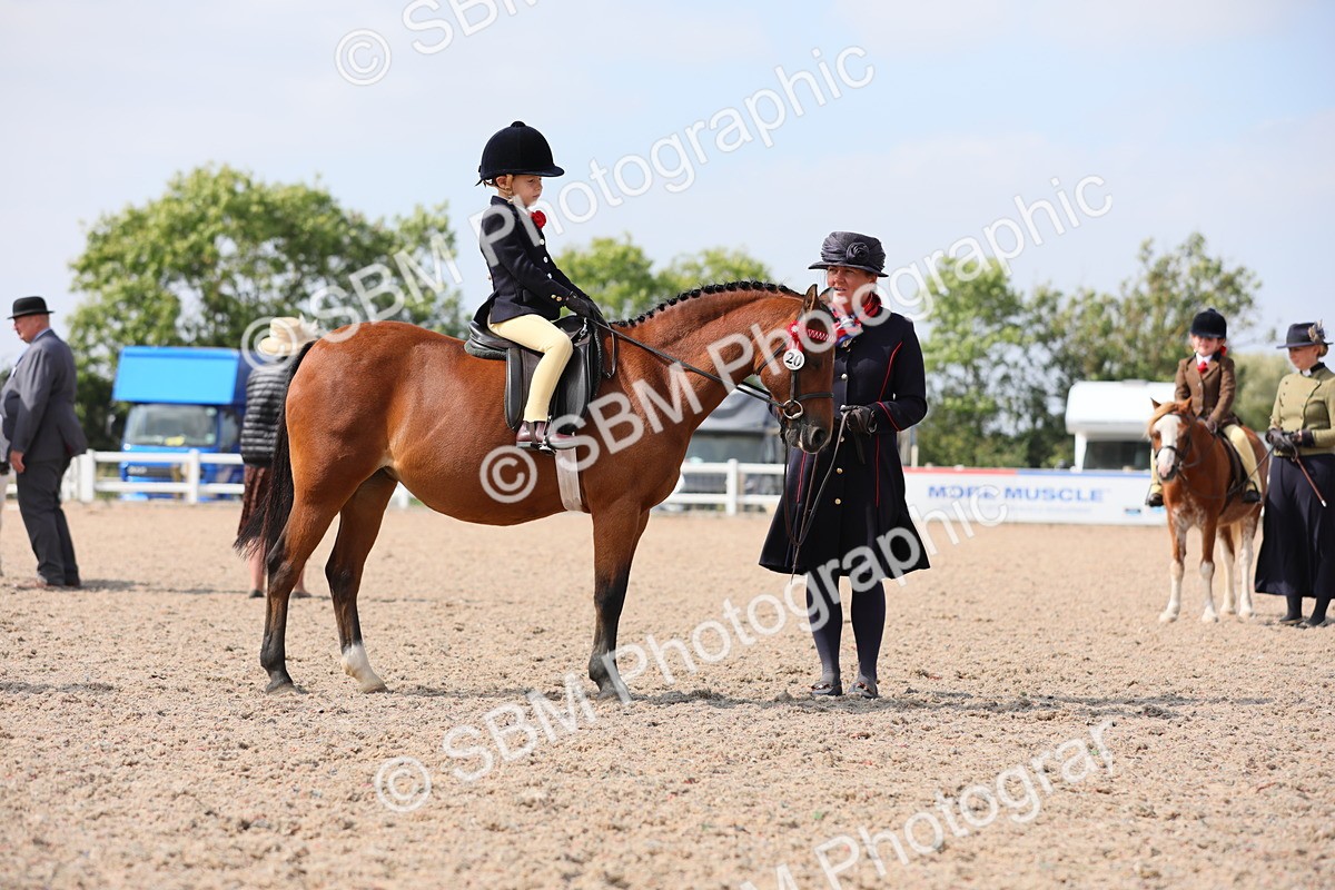 SBM_14048 - Class 309 Lead Rein Pony