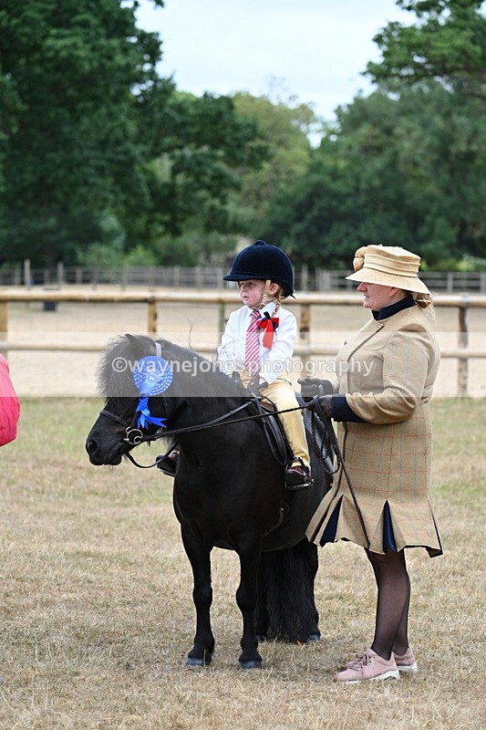 WJ7_8593 - Class 4 Prettiest Mare up to 14.2hh