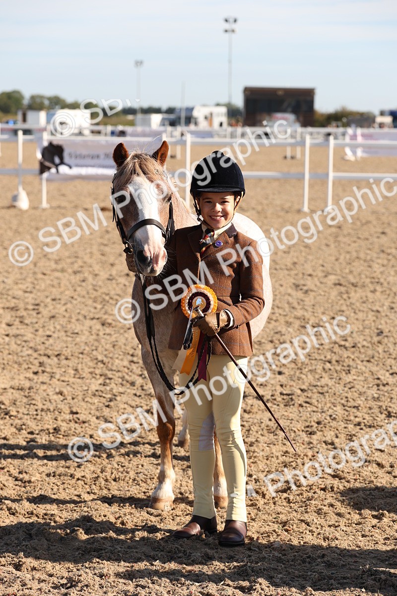 SBM_11696 - Class 203 - Young Handler 11 to 16 years
