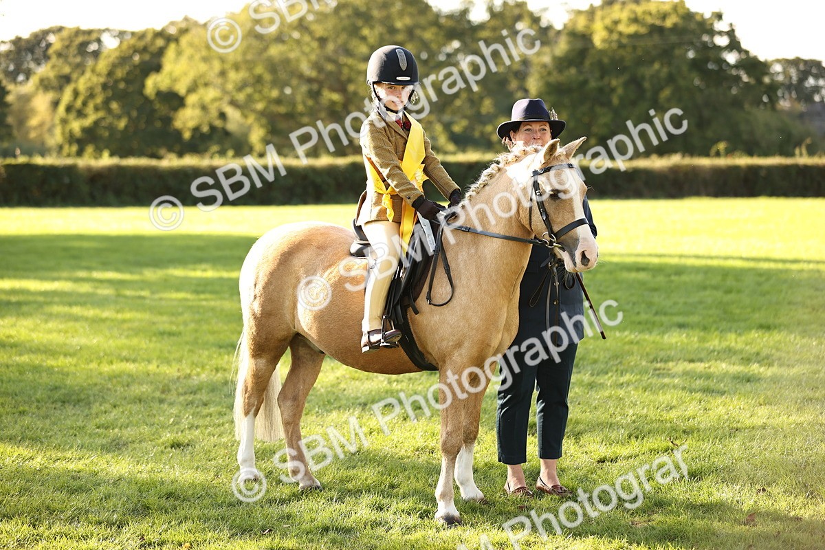 SBM_29489 - S7 - Novice & Newcomers Ridden Pony