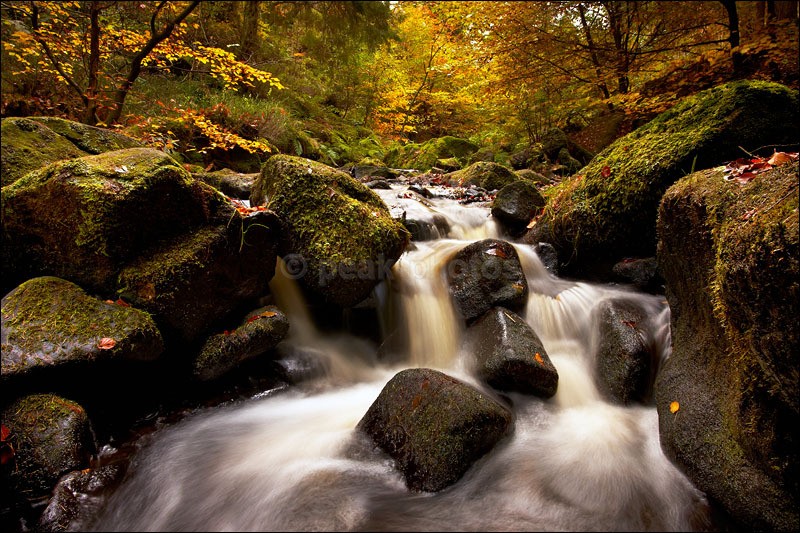 Wyming Brook Falls in autumn - Photographs of Woodland & Rivers