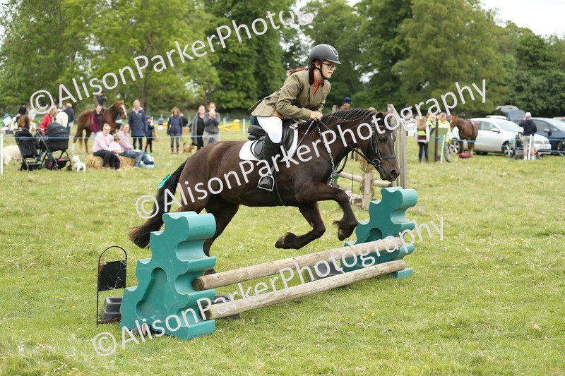 20250517-1016 - Class 21 - Novice Working Hunter