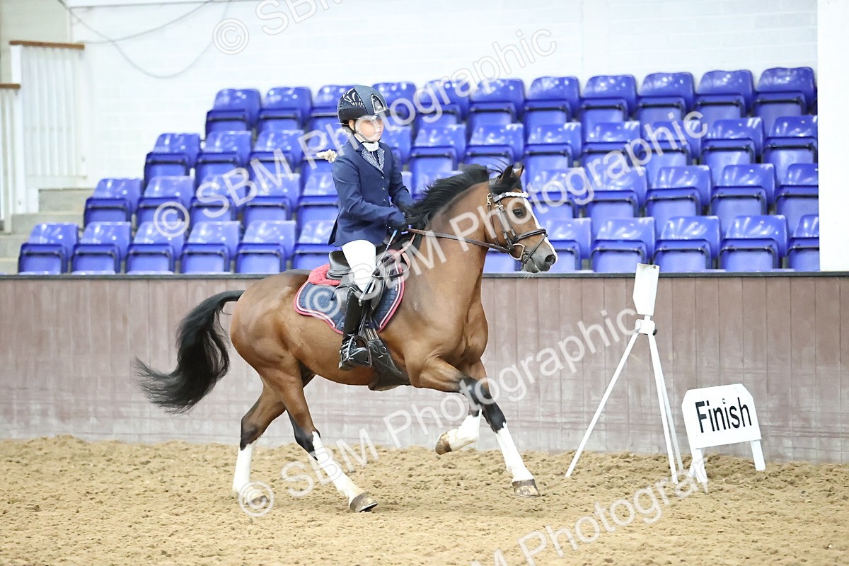 SBM_003183 - Class 10 - STX UK Pony British Novice 80cm