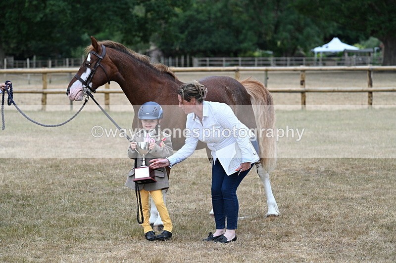 WJ7_9363 - Prettiest Mare Champs
