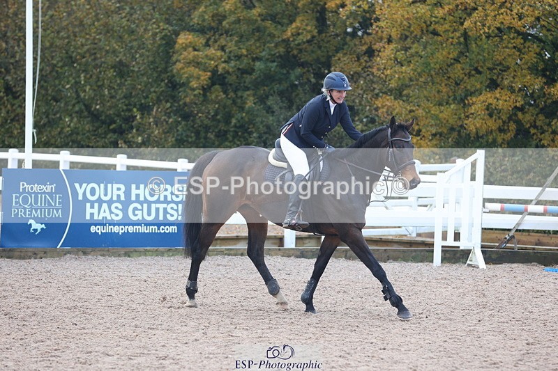 231112A-094241-03033 - Cls 17 Blue Chip Novice Winter Qualifier