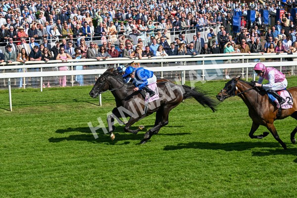 160525-Race 4-Rebels Romance-6722 - Race 4 3.45pm Boodles Yorkshire Cup Stakes