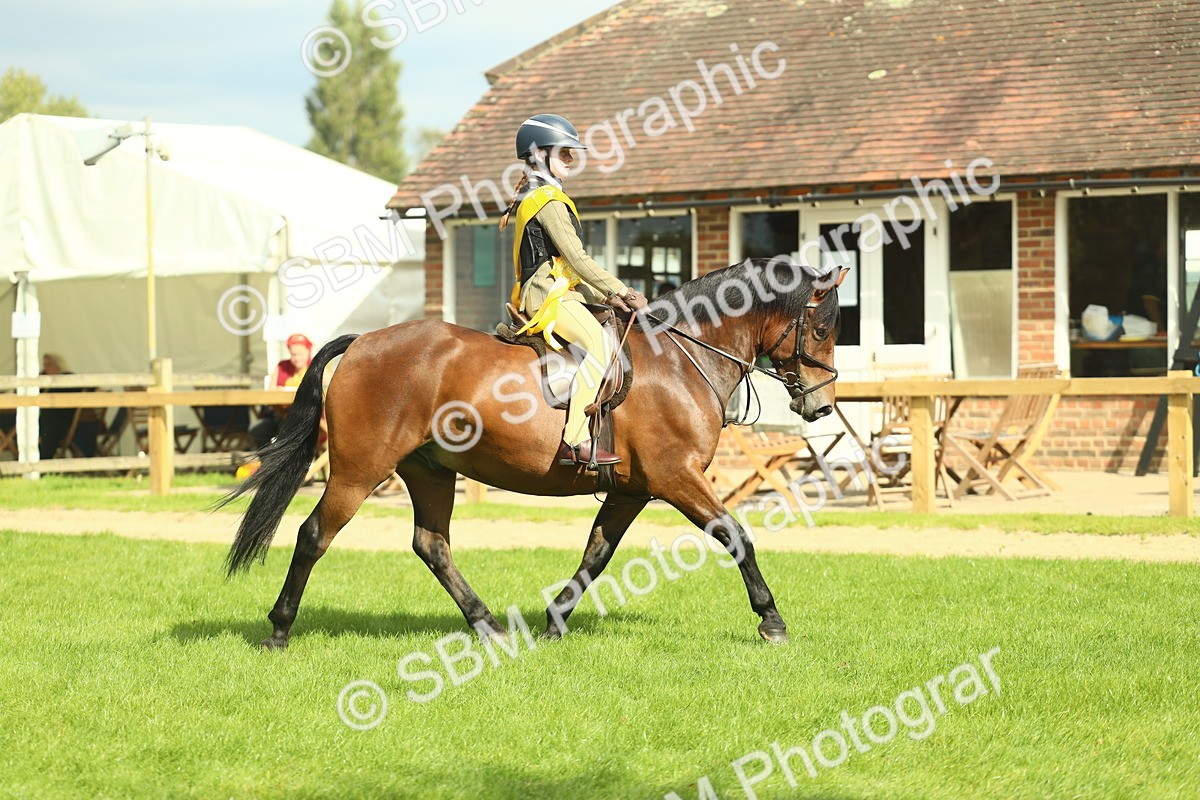 SBM_44895 - Working Hunter Pony Supreme Championship