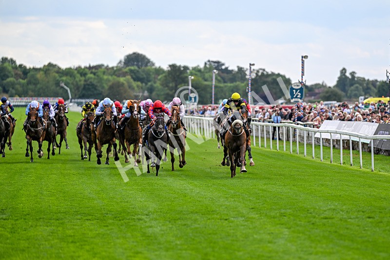 190826-Race 1-Air Force One-0658 - Race 1 13.50pm Hong Kong Jockey Club World Pool Handicap