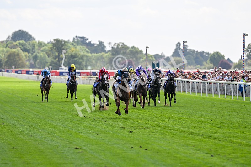 220826-Race 1-Archivist-9204 - Race 1 13.50pm Sky Bet Strensall Stakes