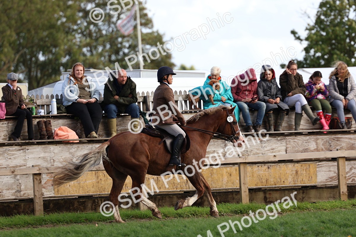 SBM_47783 - S28 - Veteran Ridden