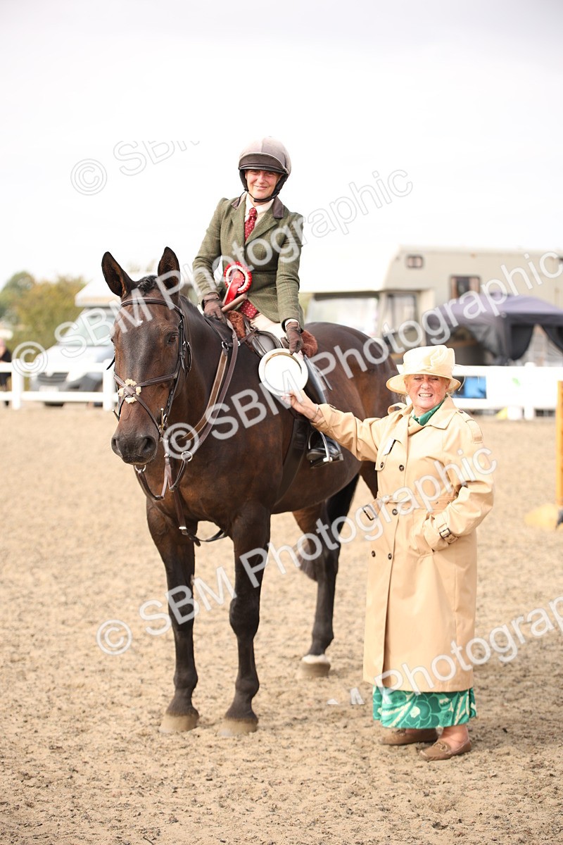 SBM_17164 - Class 409b - Working Veteran 80cm (20+)