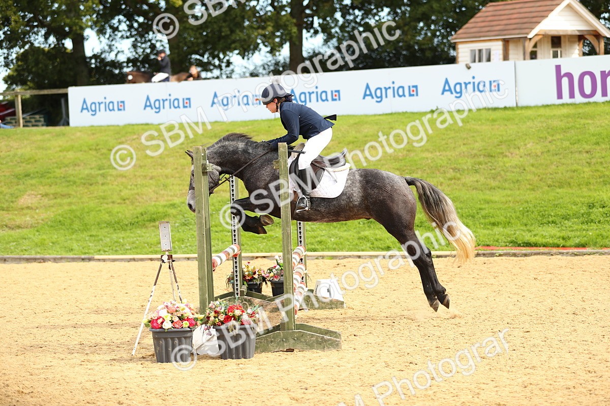 SBM_67177 - J17 - Junior Pony 80cm Championship
