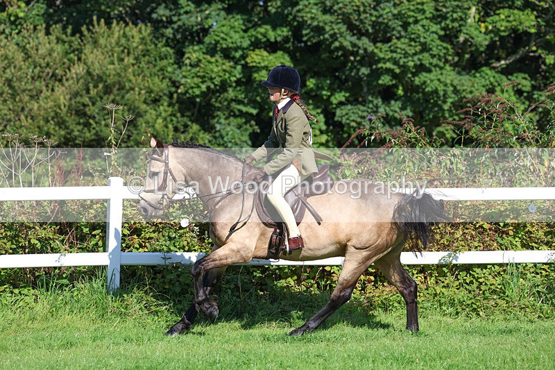 3E7A7867 - Class 2: Open Working Hunter pony