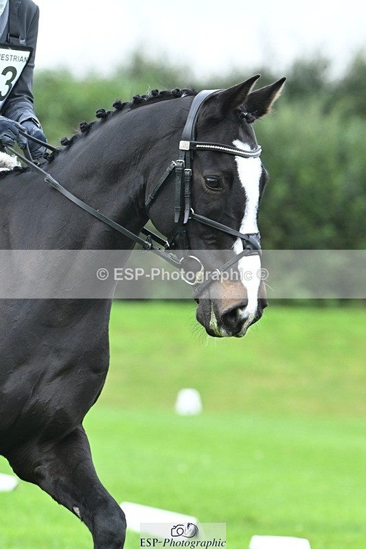 241024-094302-02835 - 403-Keira.Parsons-SARATOGA.CANDYMAN