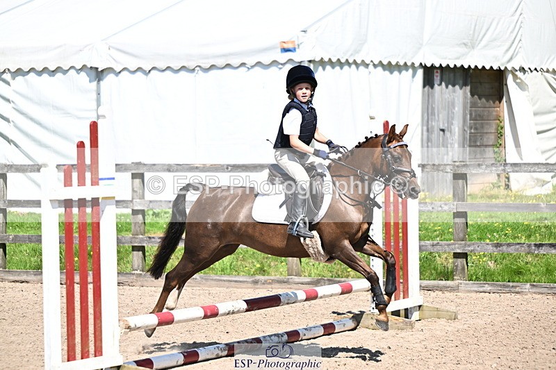 240729B-115534-02558 - Showjumping Competition