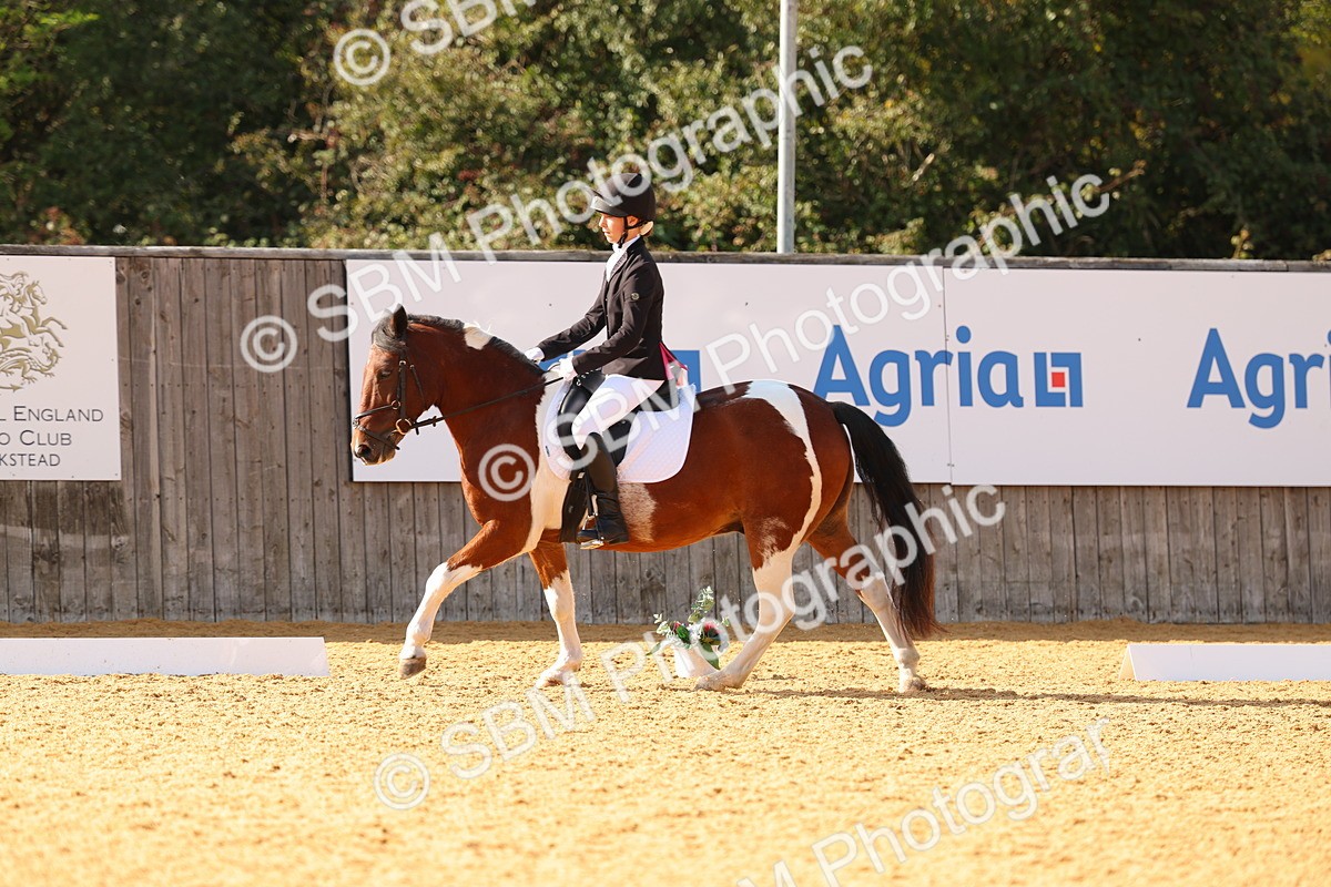 SBM_48428 - D6 - Small Tour Championship - Intro C