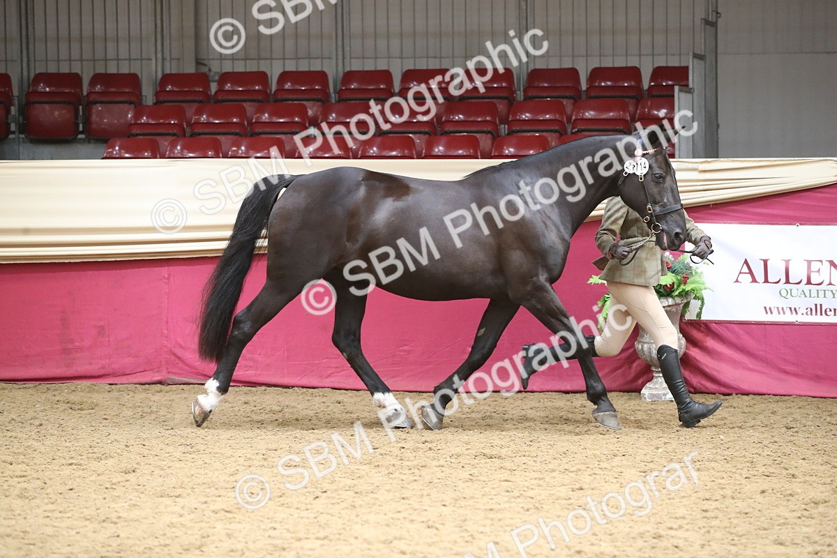 SBM_05297 - Class 8R - Regional IH Veteran