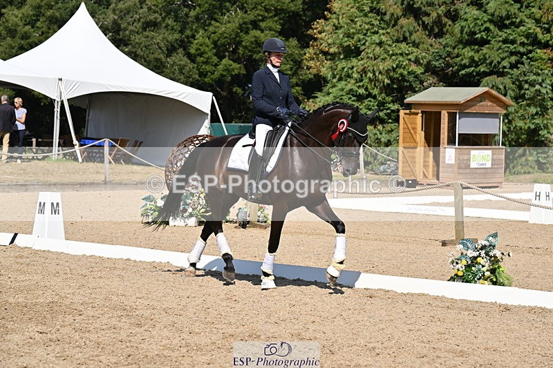 250810A-153306-08151 - Adv Medium SILVER Presentations