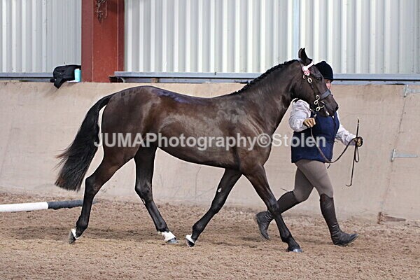 SIAL9262 - Indoor Classes