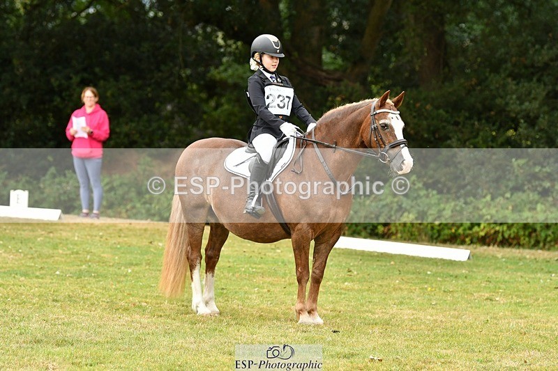 250820A-121750-05544 - 12 to 13.00