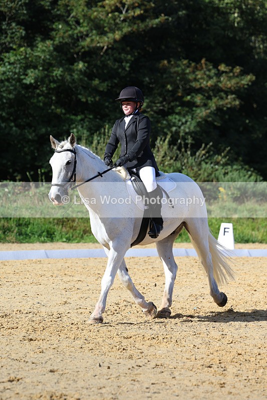 3E7A2499 - Class 1: Intro 4 2024 section A