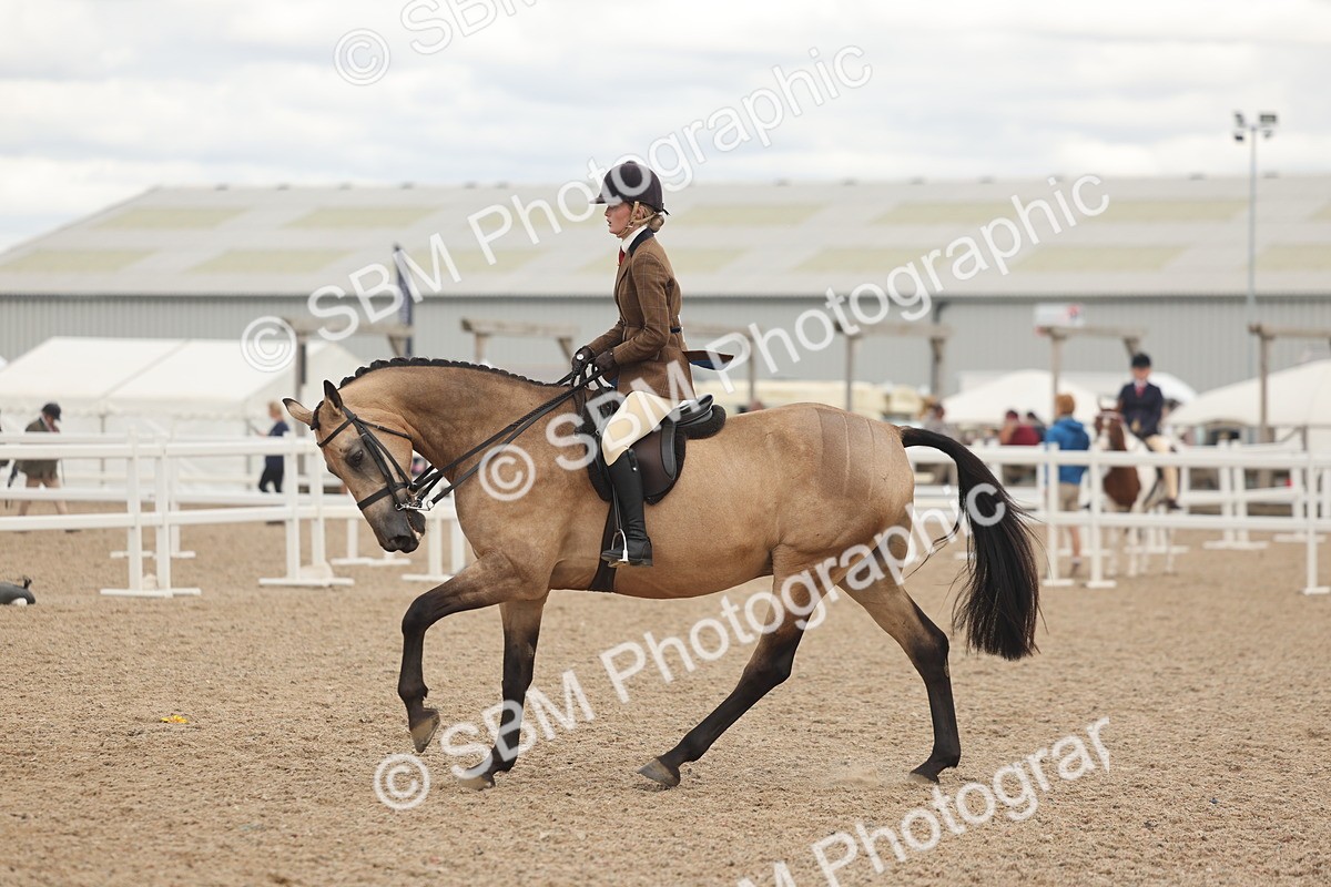 SBM_18141 - Class 315 - Best Horse-Rider Combination