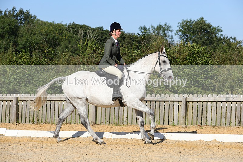 1X9A7765 - Class 9: Open Ridden Hunter