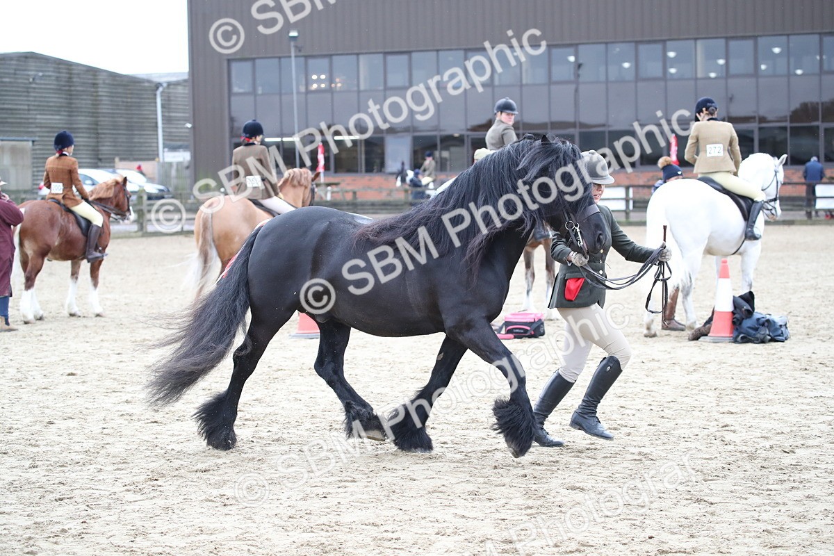 SBM_007253 - Class 10-13 - RIHS Small Large Breeds