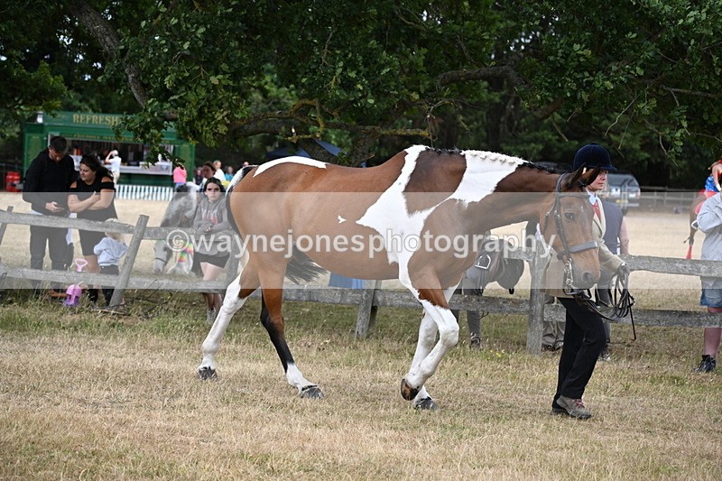 WJ6_8144 - Class 10 Coloured in Hand
