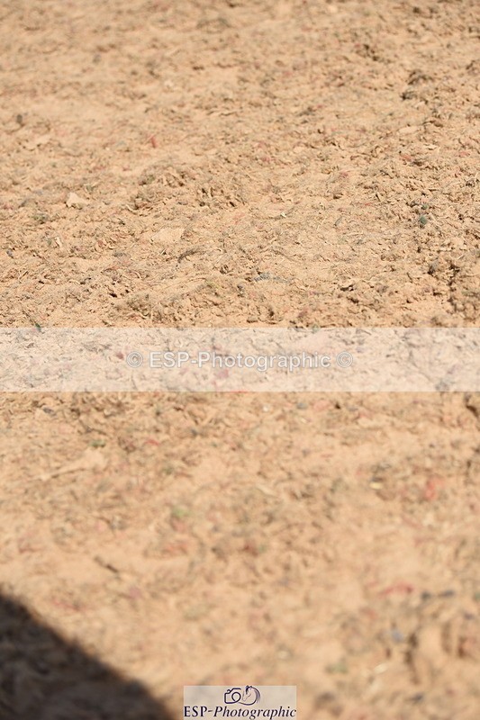 230906A-133406-00462 - Foxhunter & 1.20m Open