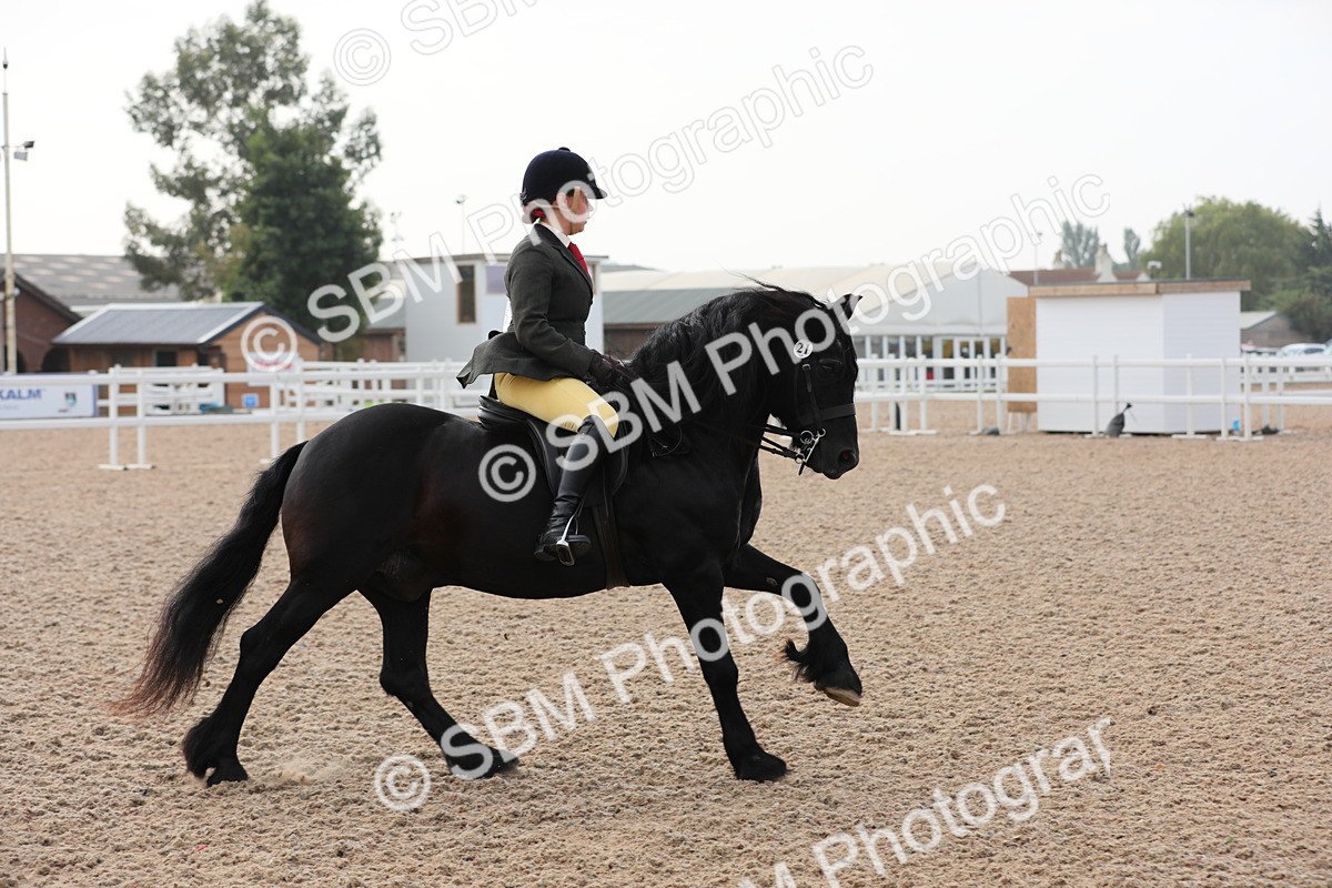 SBM_10043 - Class 302 Ridden M&M -Large Breeds