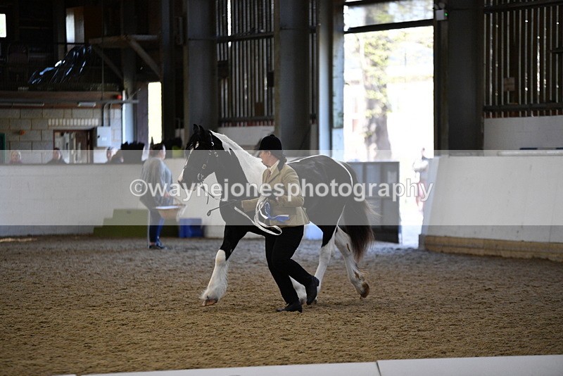 WJ5_3754 - Class 5 In Hand Veterans