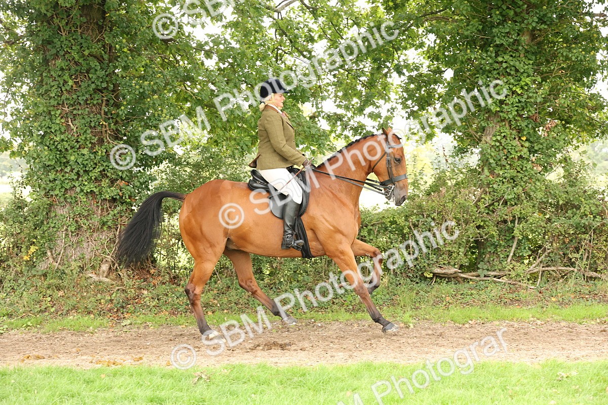 SBM_66303 - S66 - Hunter Ridden