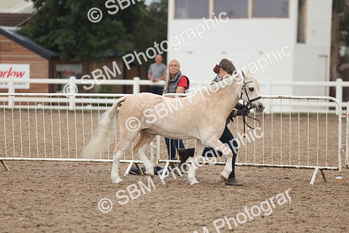 SBM_08447 - Class 29 - IH Veteran Pony