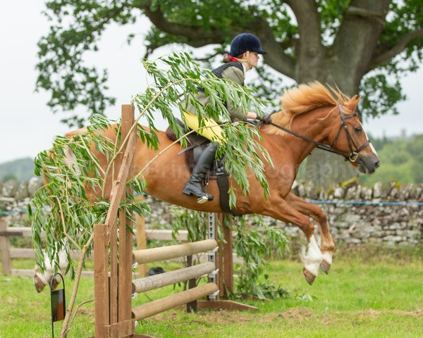 Dunblane show-468 - Dunblane and Doune Show Ring 1