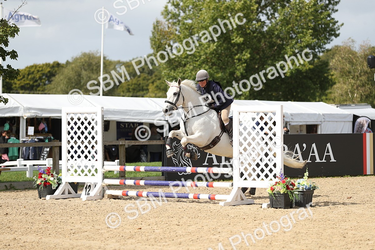 SBM_05727 - J35 - Veteran Rider 60cm