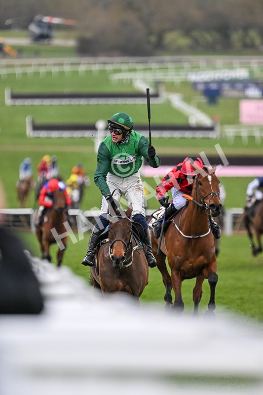 140325-Race 4-Jasmin De Vaux-4785 - 14th March