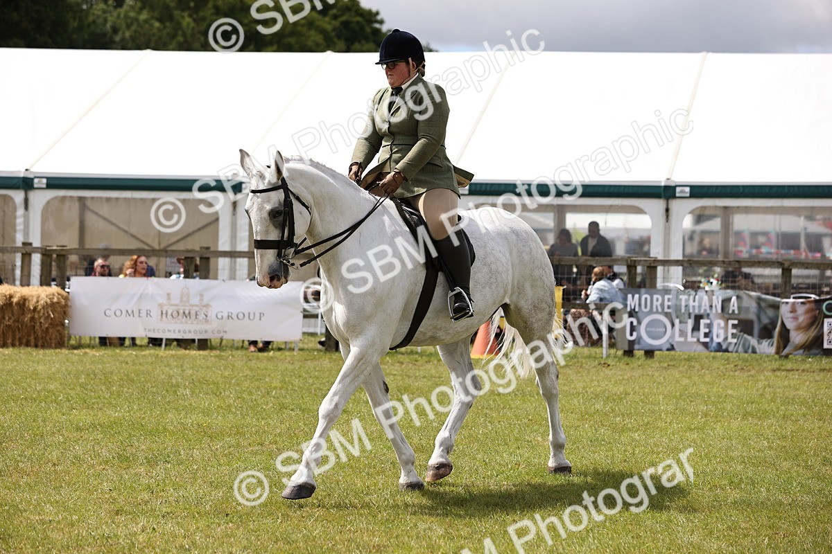 SBM_14706 - Class 88-89 - LIHS BSHA Rising Star of Ridden Hunter Type