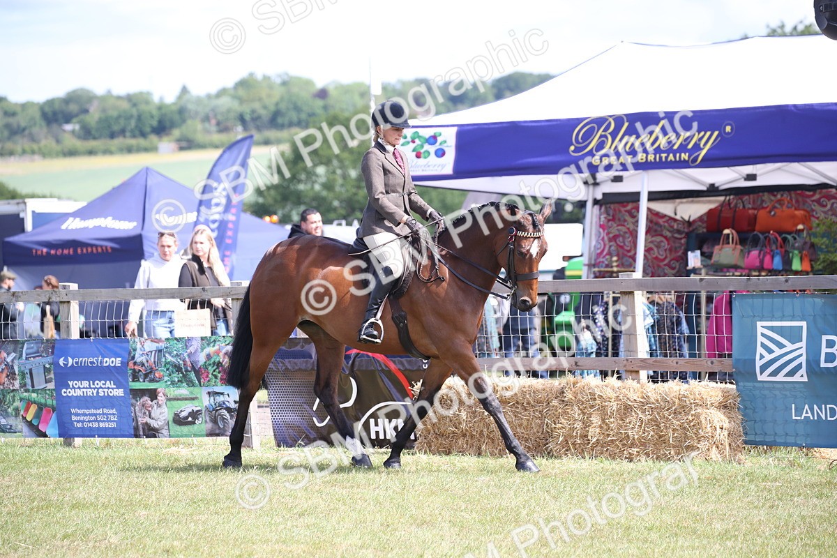 SBM_13298 - Class 95-96 - LIHS BSHA Rising Star Hack Riding Horse
