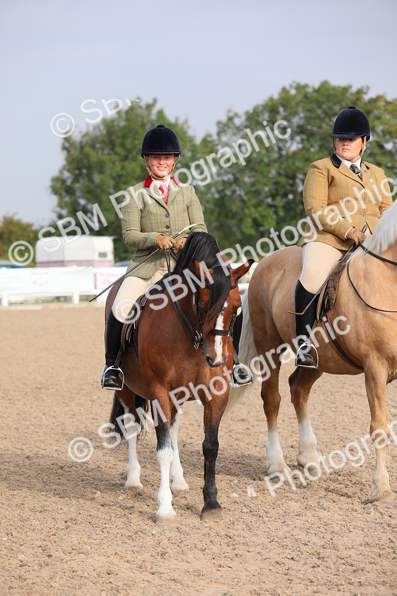 SBM_10144 - Class 302 Ridden M&M -Large Breeds