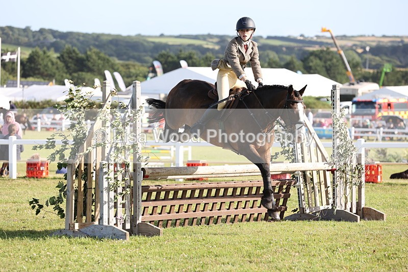 JPP_3223 - Class 21: Working Hunter 80cm