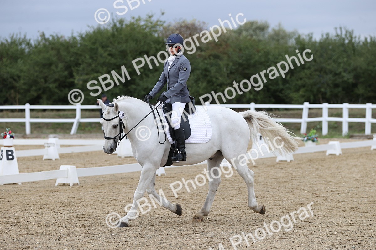 SBM_004267 - Class 9 - Novice 3 Champs
