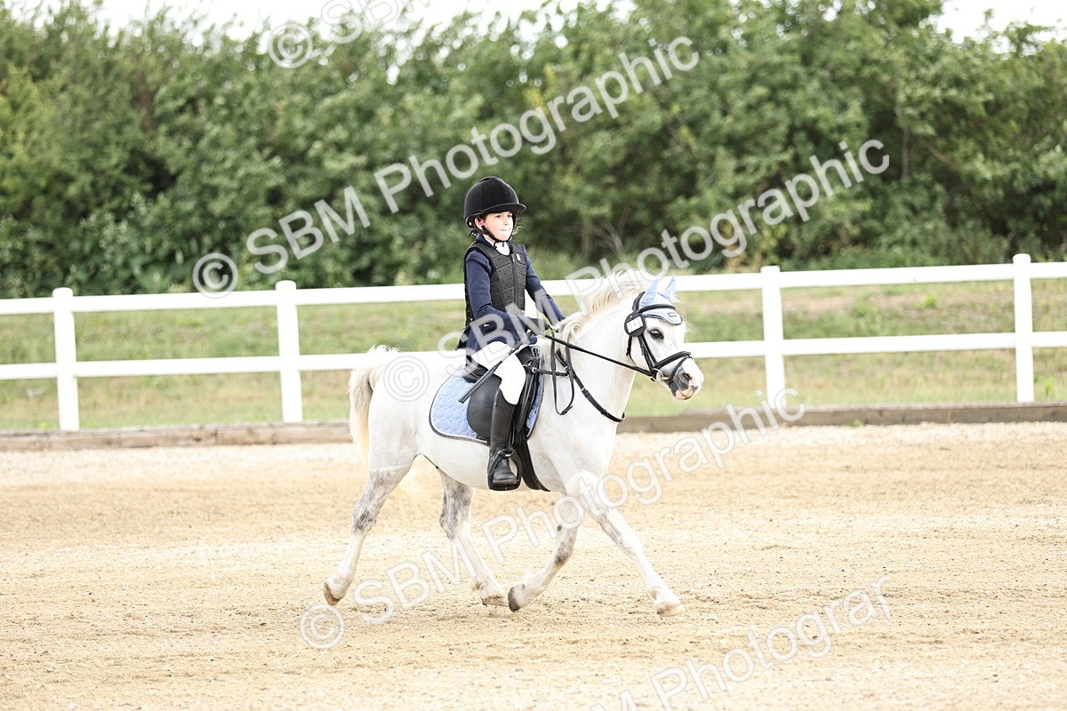 SBM_003254 - 40cm showjumping